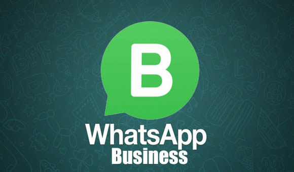 ¿Por qué WhatsApp Business?